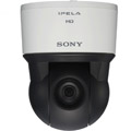   Sony SNC-EP521